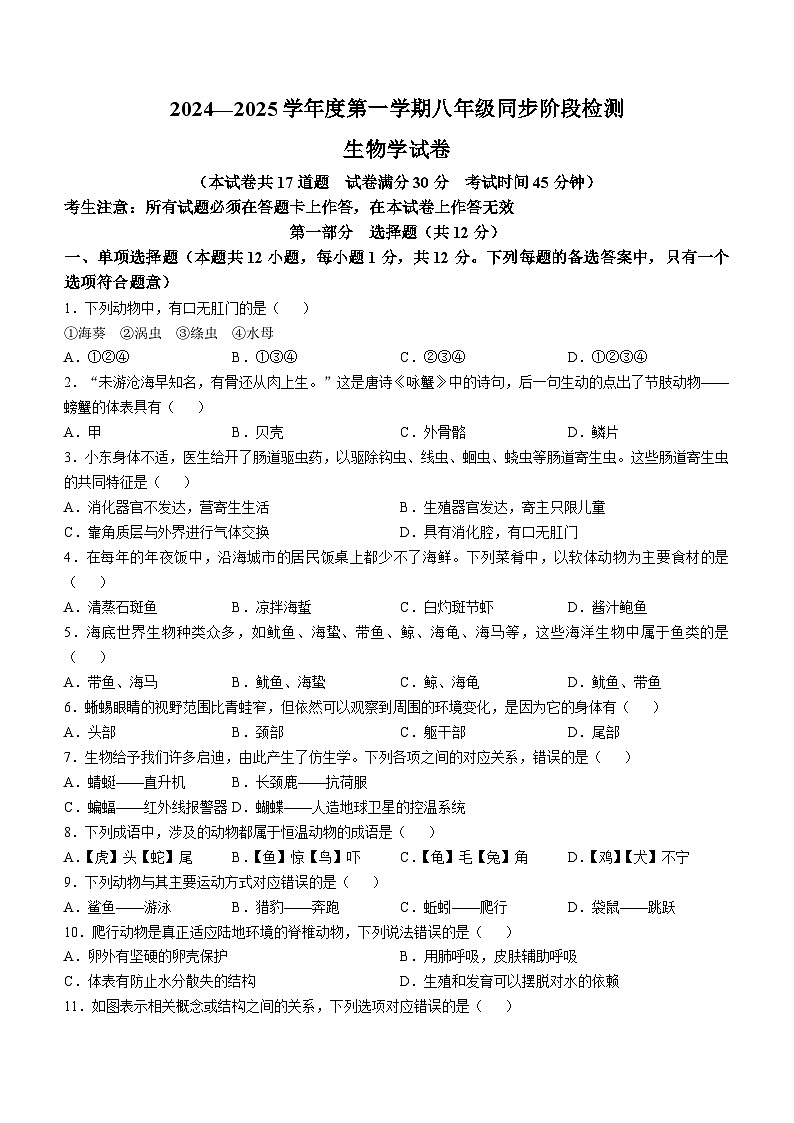 辽宁省兴城市第二初级中学等校2024-2025学年八年级上学期期中生物试题(无答案)第1页
