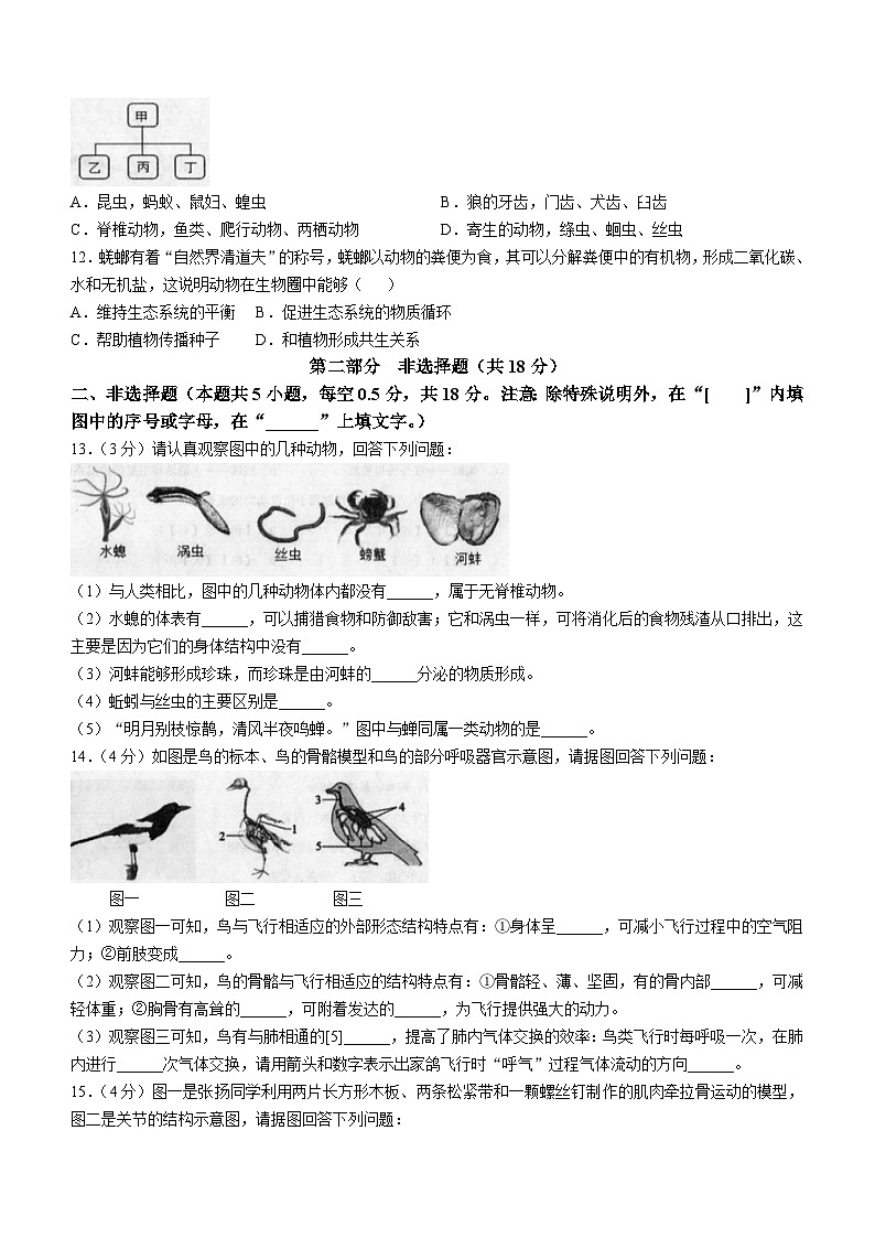 辽宁省兴城市第二初级中学等校2024-2025学年八年级上学期期中生物试题(无答案)第2页