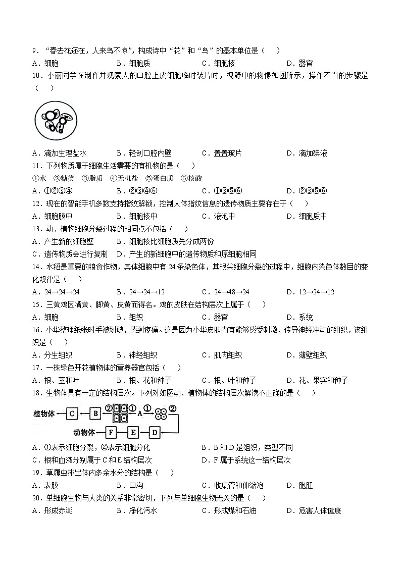甘肃省庆阳市镇原县2024-2025学年七年级上学期期中生物学试题第2页