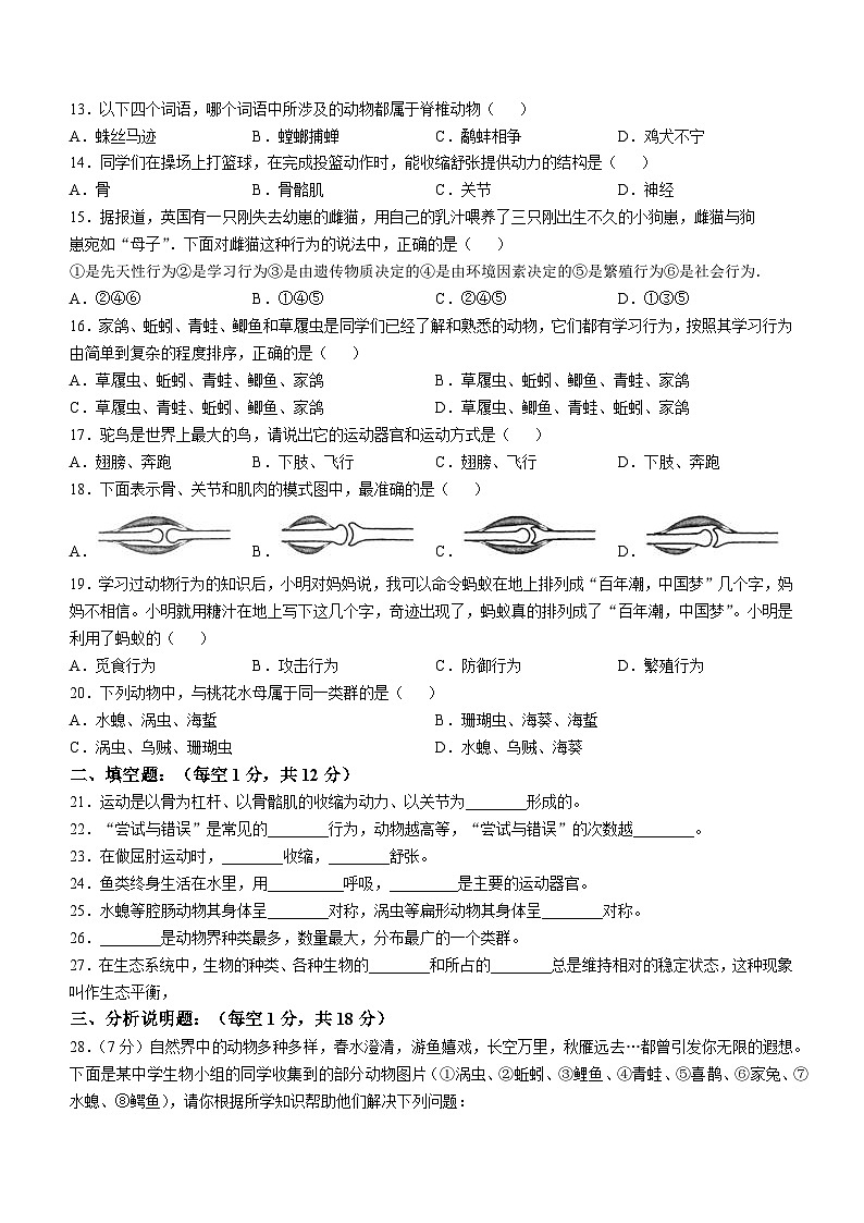 甘肃省武威市凉州区2024-2025学年八年级上学期期中生物学试题第2页