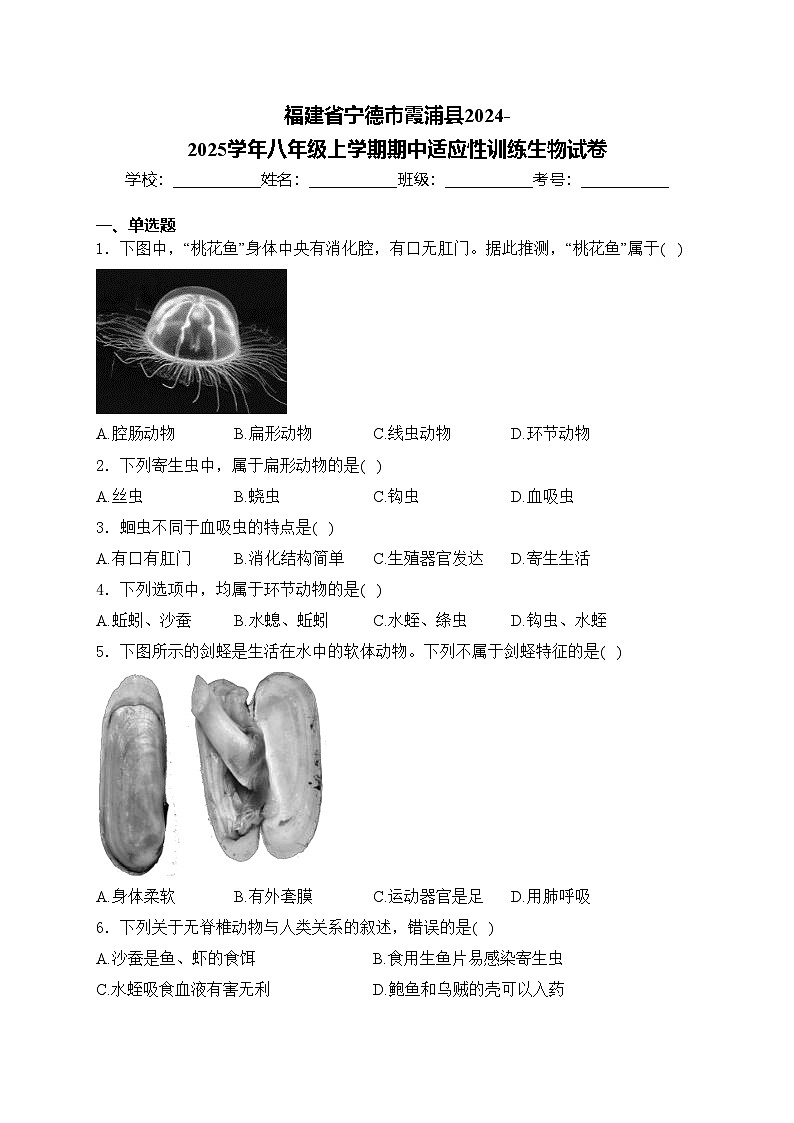 福建省宁德市霞浦县2024-2025学年八年级上学期期中适应性训练生物试卷(含答案)第1页