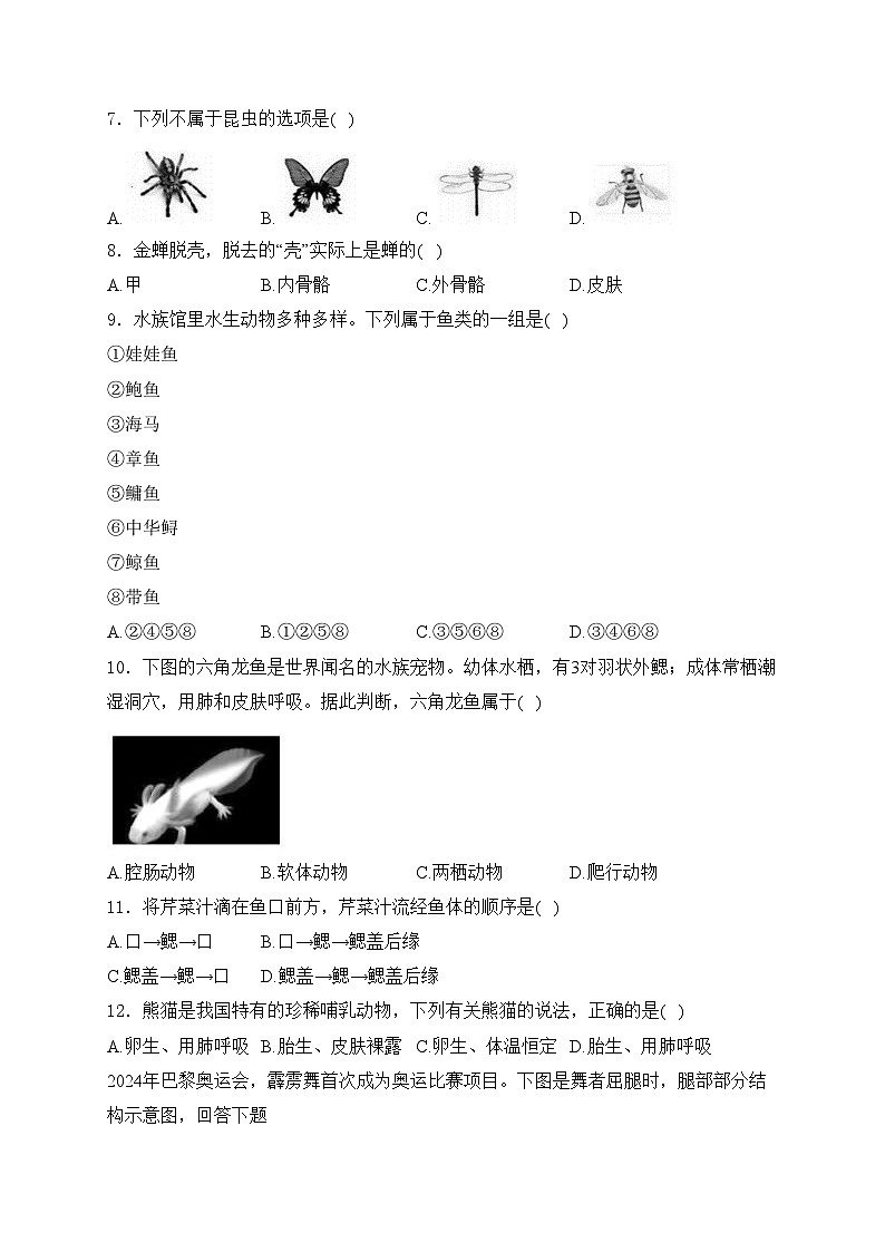 福建省宁德市霞浦县2024-2025学年八年级上学期期中适应性训练生物试卷(含答案)第2页