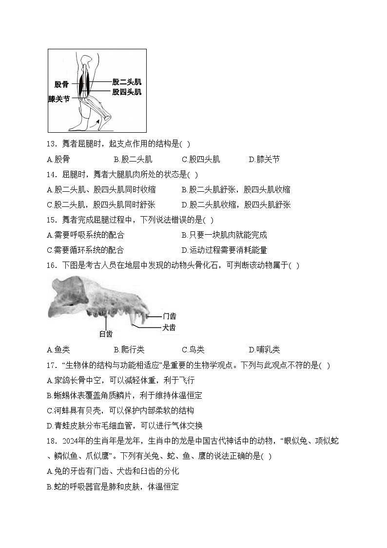 福建省宁德市霞浦县2024-2025学年八年级上学期期中适应性训练生物试卷(含答案)第3页