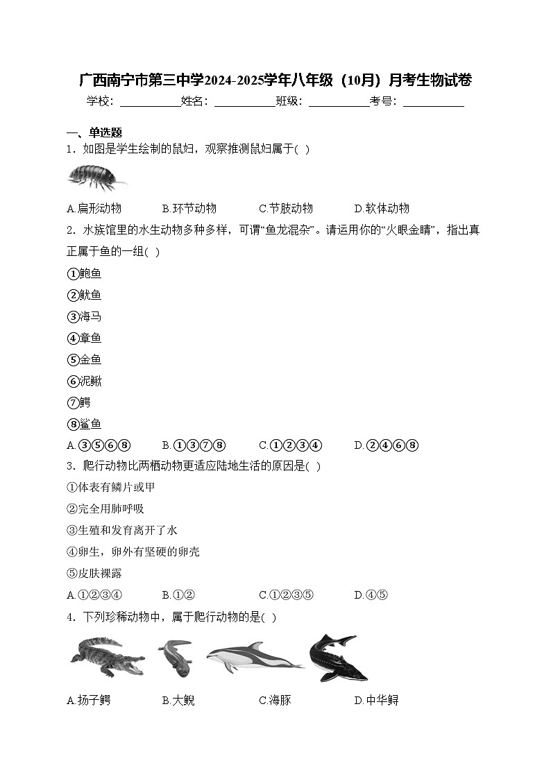 广西南宁市第三中学2024-2025学年八年级（10月）月考生物试卷(含答案)第1页