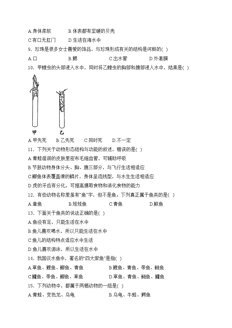 海林市朝鲜族中学2024-2025学年八年级上学期期中考试生物试卷(含答案)第2页