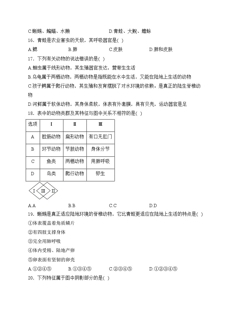 海林市朝鲜族中学2024-2025学年八年级上学期期中考试生物试卷(含答案)第3页