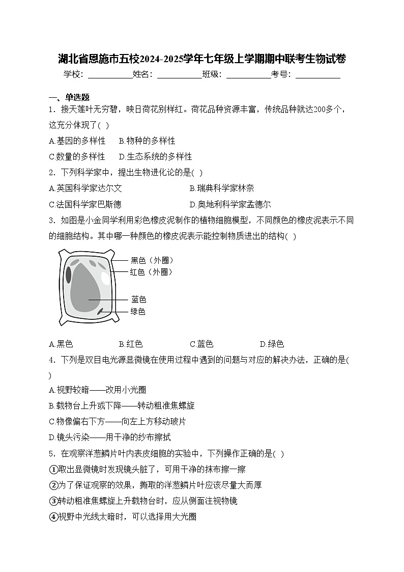 湖北省恩施市五校2024-2025学年七年级上学期期中联考生物试卷(含答案)01