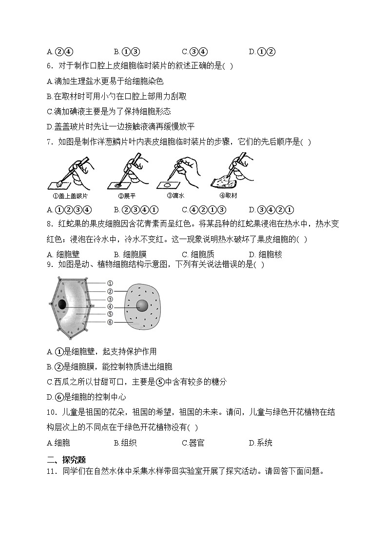 湖北省恩施市五校2024-2025学年七年级上学期期中联考生物试卷(含答案)02