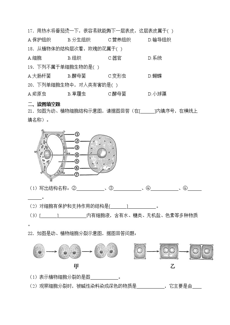 陕西省宝鸡市陈仓区2024-2025学年七年级上学期期中质量检测生物试卷(含答案)第3页