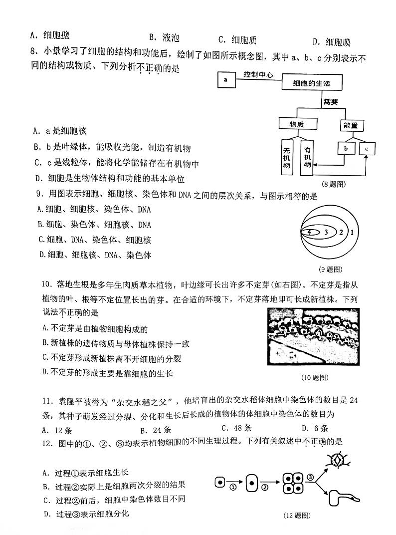吉林省长春市榆树市慧望初级中学2024-2025学年七年级上学期10月期中生物试题第2页