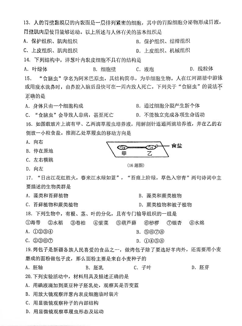 吉林省长春市榆树市慧望初级中学2024-2025学年七年级上学期10月期中生物试题第3页
