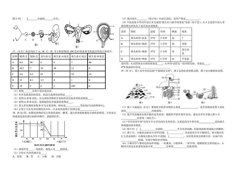 山东省泰安市宁阳县第三中学2024-2025学年七年级上学期第一次月考生物试题第2页