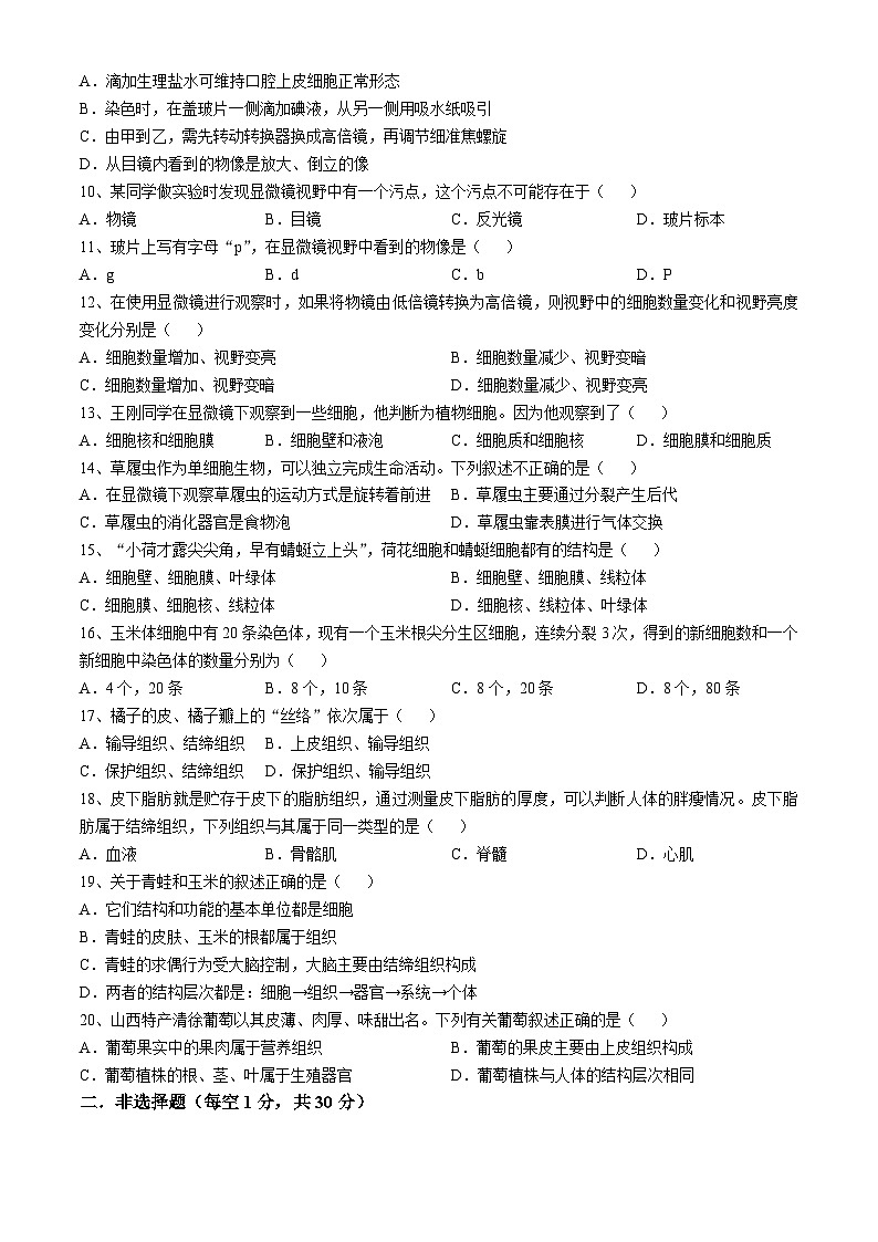 河南省驻马店市第二初级中学2024-2025学年七年级上学期期中生物学试题第2页