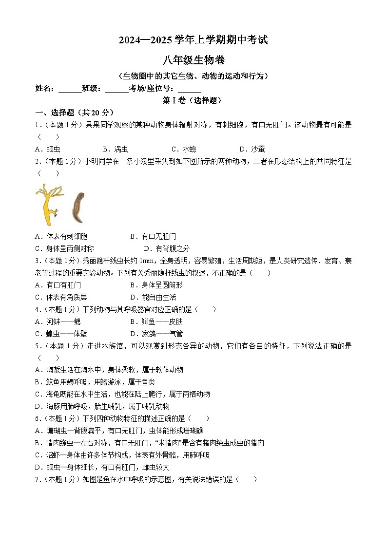 河南省郑州市郑州中学、五十八中学等六校联考2024-2025学年八年级上学期期中生物试题01