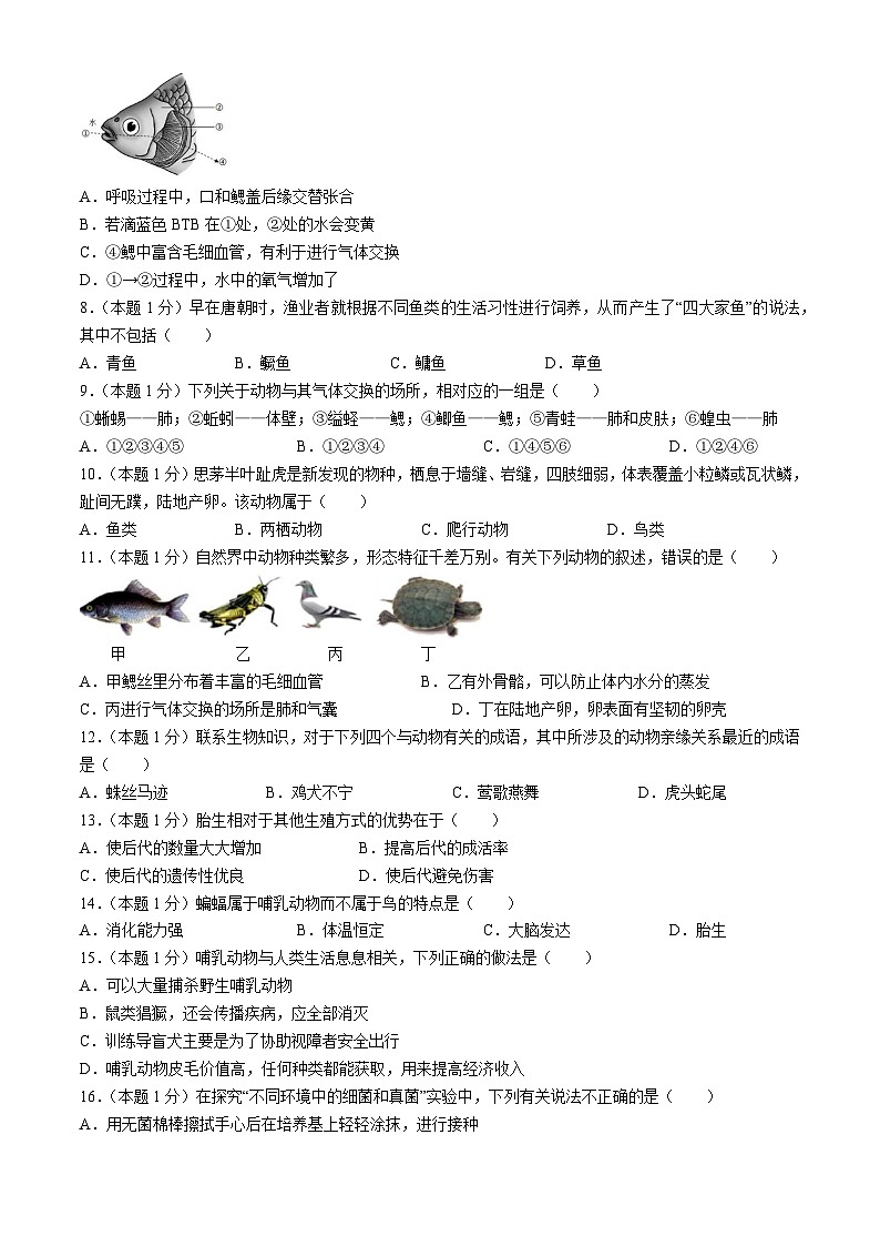 河南省郑州市郑州中学、五十八中学等六校联考2024-2025学年八年级上学期期中生物试题02
