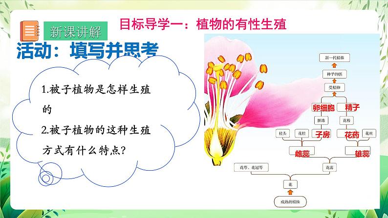 人教版生物八下7.1.1 《植物的生殖》 课件第4页