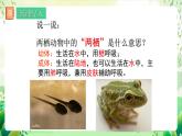 人教版生物八下7.1.3 《两栖动物的生殖和发育》  课件 +教案