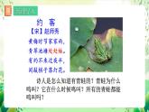 人教版生物八下7.1.3 《两栖动物的生殖和发育》  课件 +教案