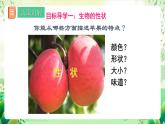 人教版生物八下7.2.1《 基因控制生物的性状》 课件 +教案