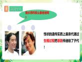 人教版生物八下7.2.2《 基因在亲子代间的传递》课件 +教案