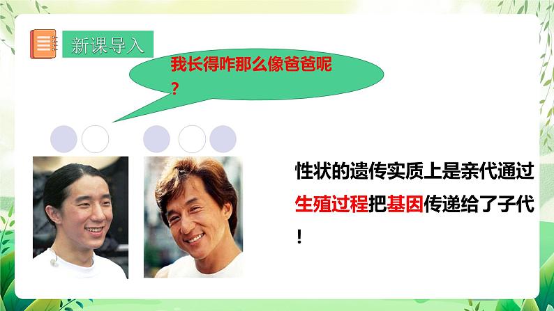 人教版生物 八下 7.2.2 《基因在亲子代间的传递》 课件第3页