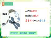 人教版生物八下7.2.2《 基因在亲子代间的传递》课件 +教案
