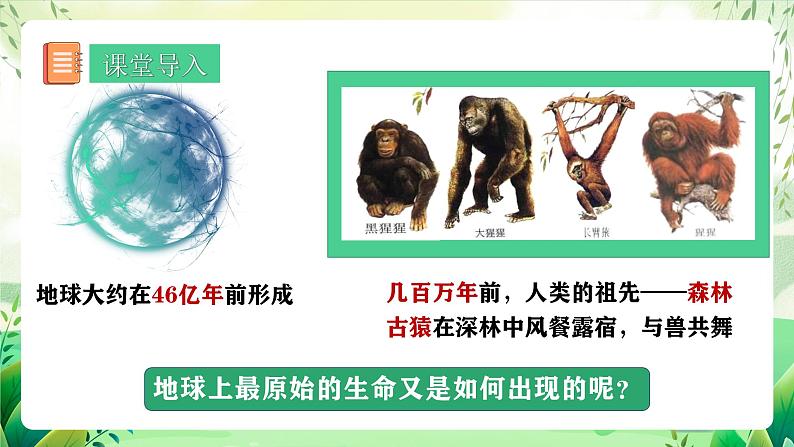 人教版生物 八下册 7.3.1 《地球上生命的起源》 课件第3页