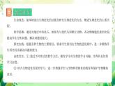 人教版生物八下7.3.2 《生物进化的历程》课件+教案