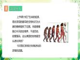 人教版生物八下7.3.2 《生物进化的历程》课件+教案