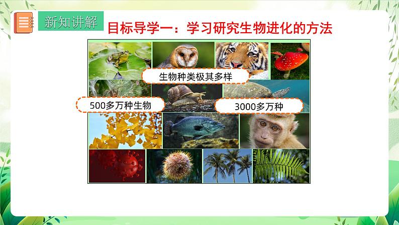 人教版生物八下7.3.2 《生物进化的历程》课件+教案04