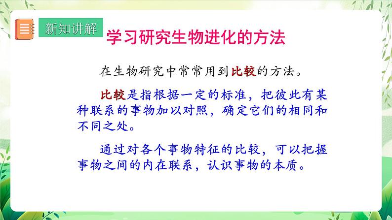 人教版生物八下7.3.2 《生物进化的历程》课件+教案06