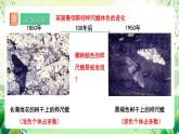 人教版生物八下7.3.3 《生物进化的原因》 课件+教案