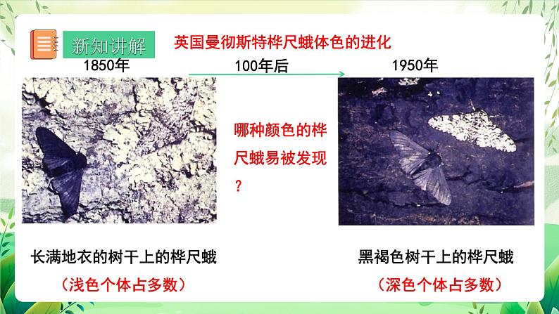 人教版生物 八下7.3.3 《生物进化的原因》 课件第5页