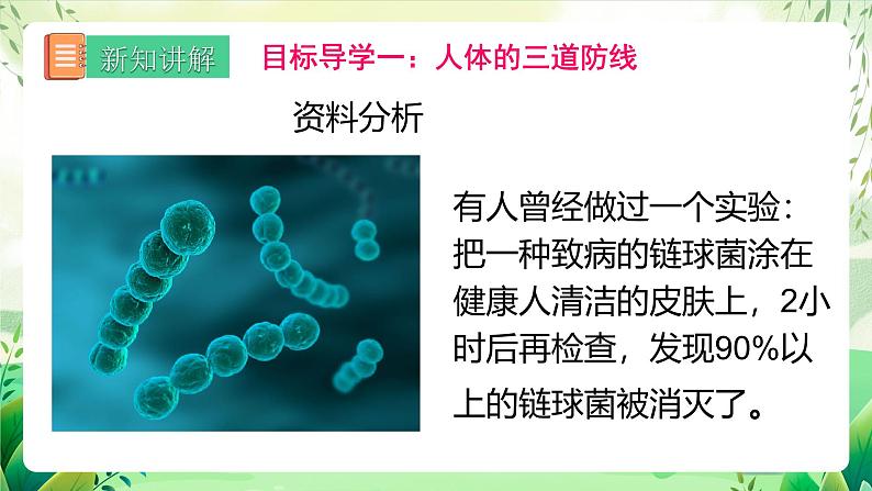 人教版八下生物  第二节 8.1.2《免疫与计划免疫 》课件第4页