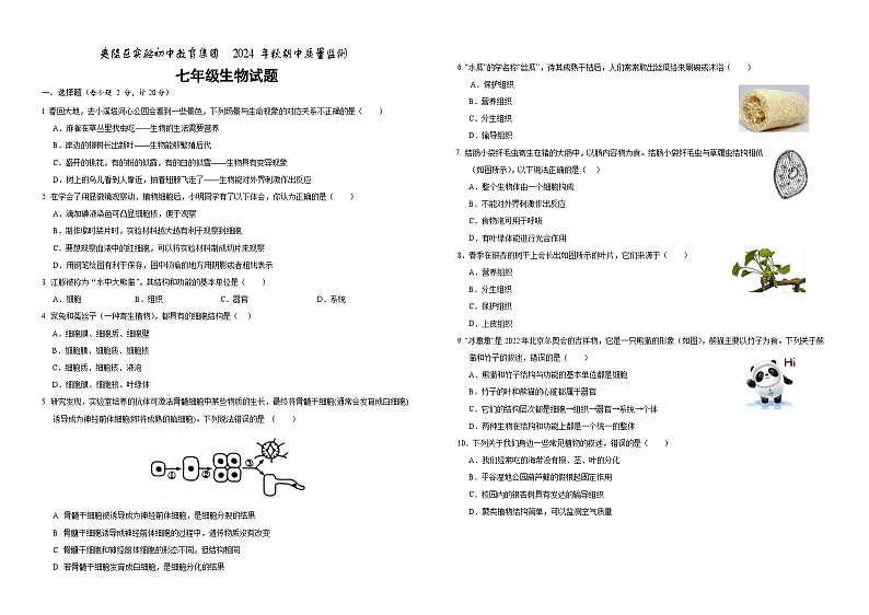 湖北省宜昌市夷陵区实验初中教育集团2024-2025学年七年级上学期期中生物试题01
