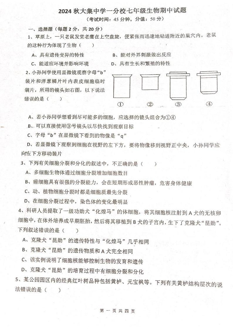 2024秋大集中学一分校七年级生物期中试题第1页