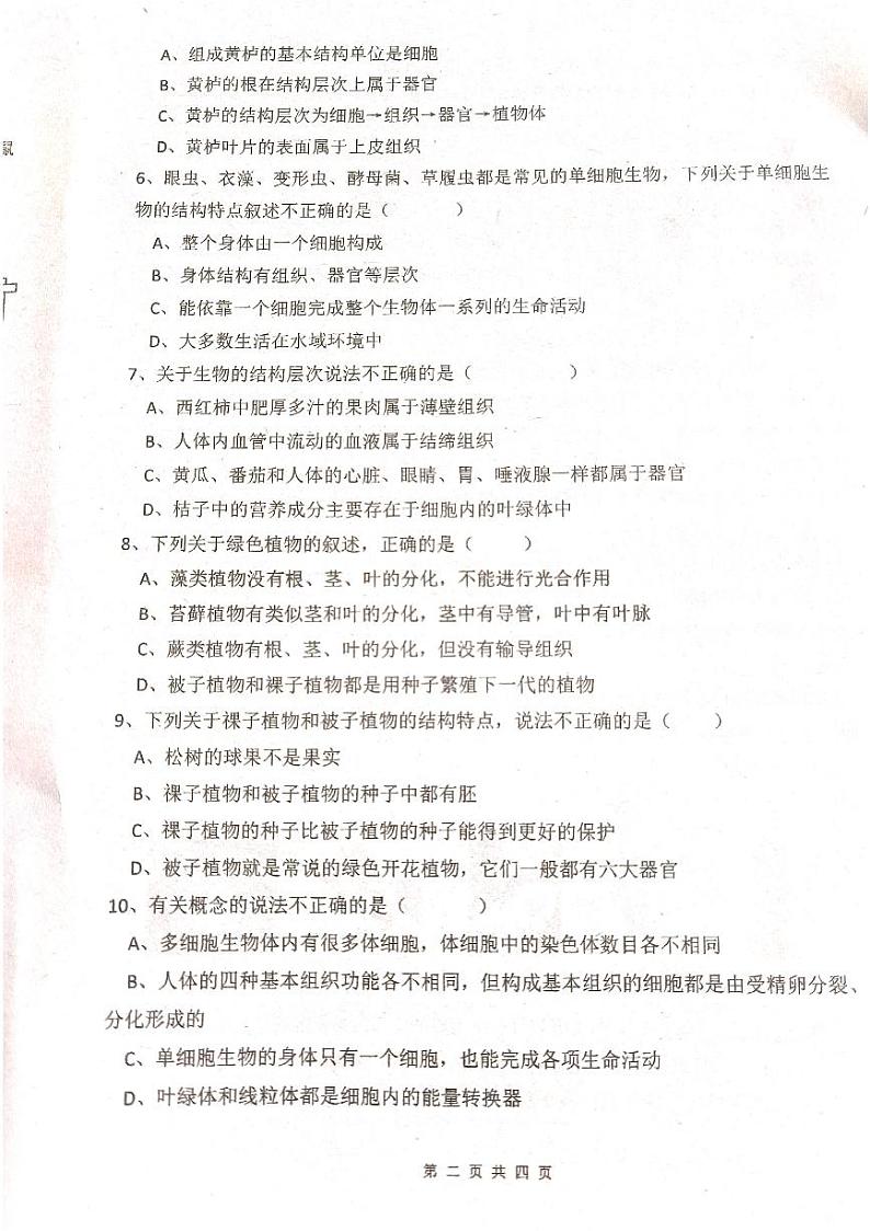 2024秋大集中学一分校七年级生物期中试题第2页