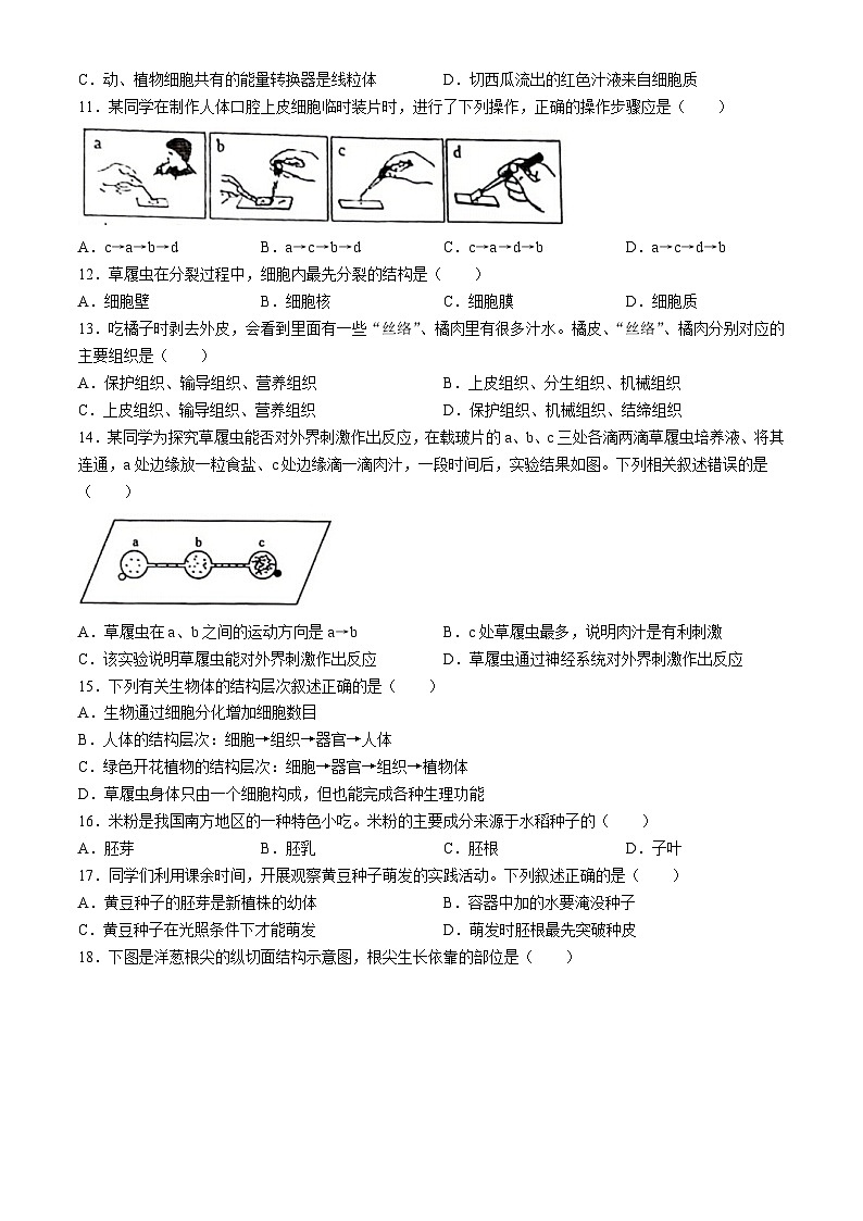 河南省洛阳市伊川县2023-2024学年七年级上学期期中生物学试题第2页