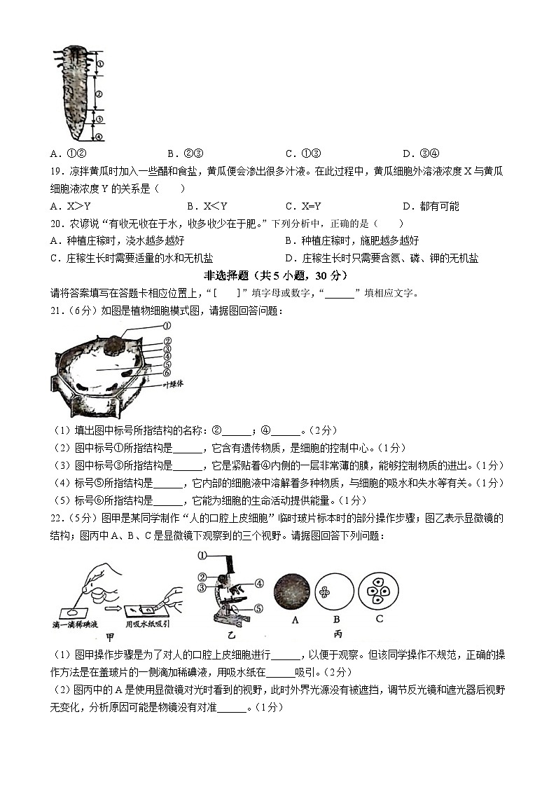 河南省洛阳市伊川县2023-2024学年七年级上学期期中生物学试题第3页