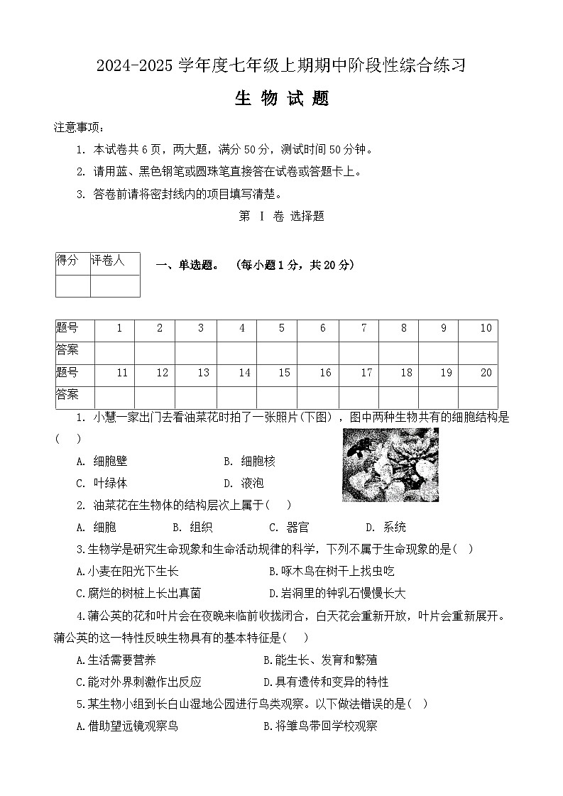河南省信阳市2024-2025学年七年级上学期11月期中生物试题01