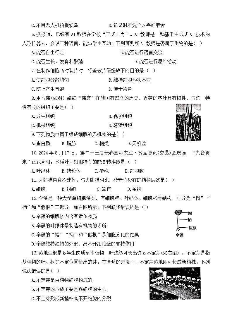 河南省信阳市2024-2025学年七年级上学期11月期中生物试题02