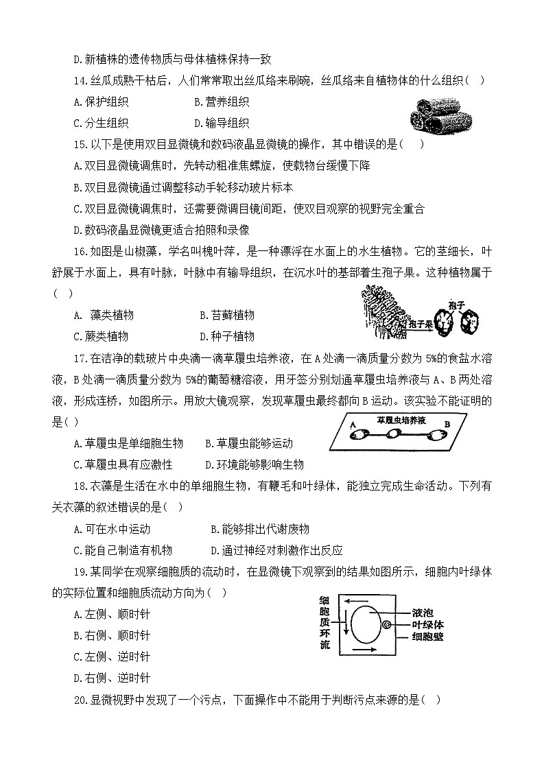 河南省信阳市2024-2025学年七年级上学期11月期中生物试题03
