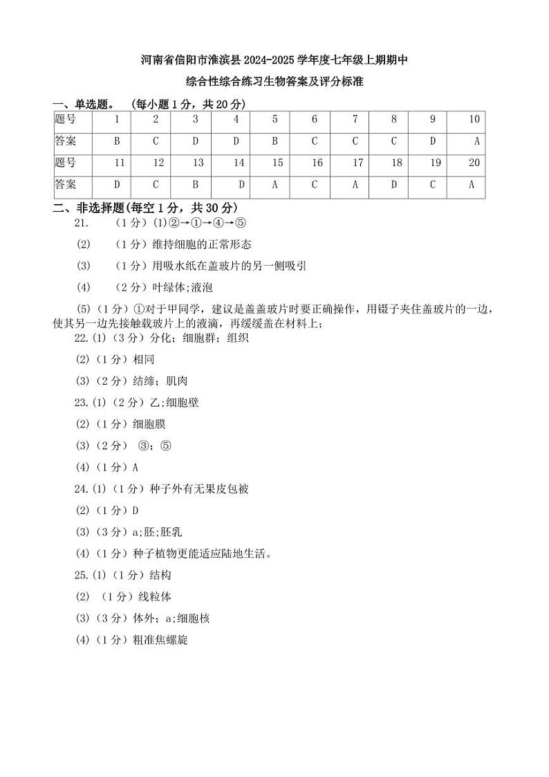 河南省信阳市2024-2025学年七年级上学期11月期中生物试题01
