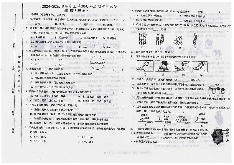 甘肃省陇南市康县2024-2025学年七年级上学期10月期中生物试题第1页