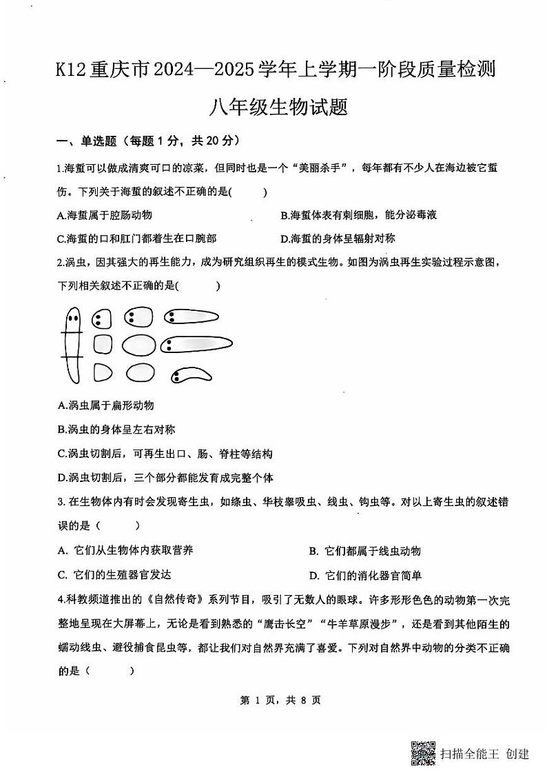 重庆市巴南区实验中学教育联盟2024-2025学年八年级上学期10月月考生物试题第1页