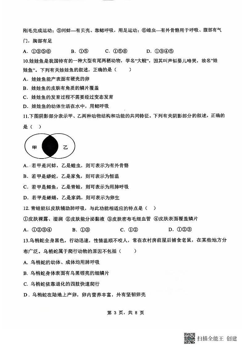 重庆市巴南区实验中学教育联盟2024-2025学年八年级上学期10月月考生物试题第3页