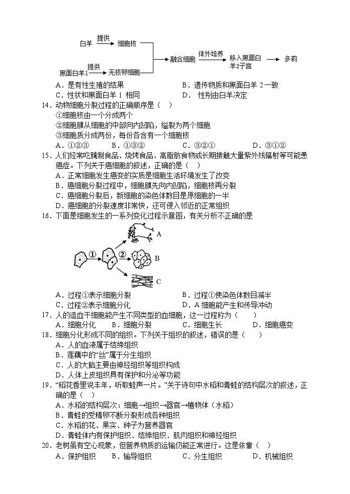 湖南省张家界市慈利县2024-2025学年七年级上学期期中考试生物试题第3页