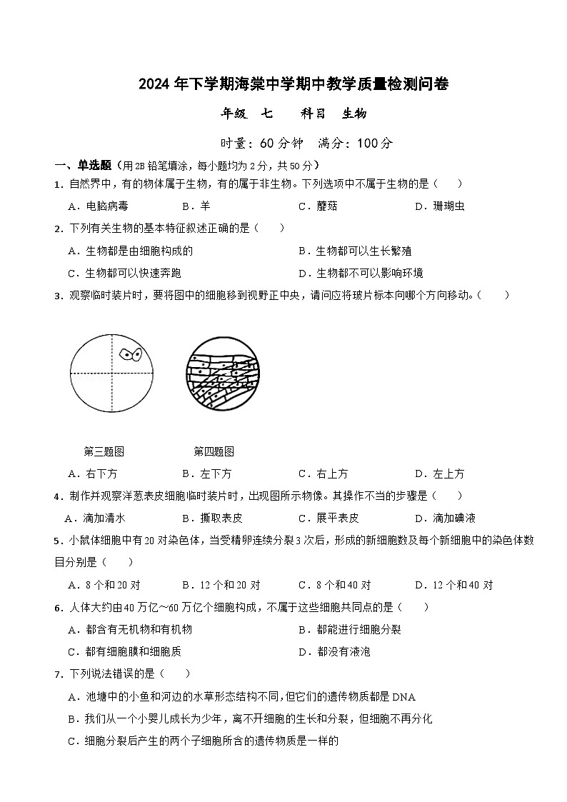 湖南省益阳市赫山区海棠学校2024-2025学年七年级上学期期中考试生物试题第1页
