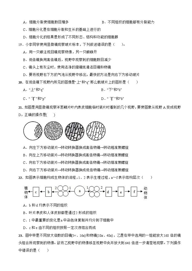 湖南省益阳市赫山区海棠学校2024-2025学年七年级上学期期中考试生物试题第3页