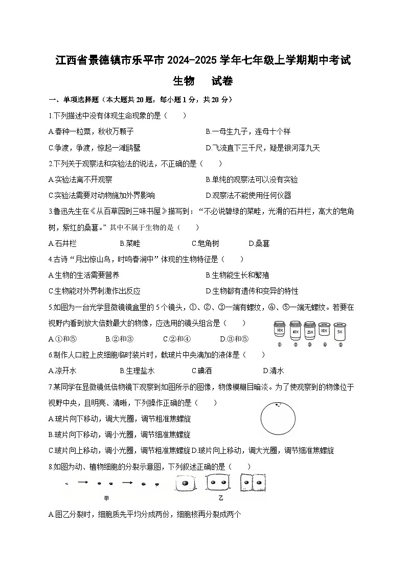 江西省景德镇市乐平市2024-2025学年七年级上学期期中考试生物试卷第1页